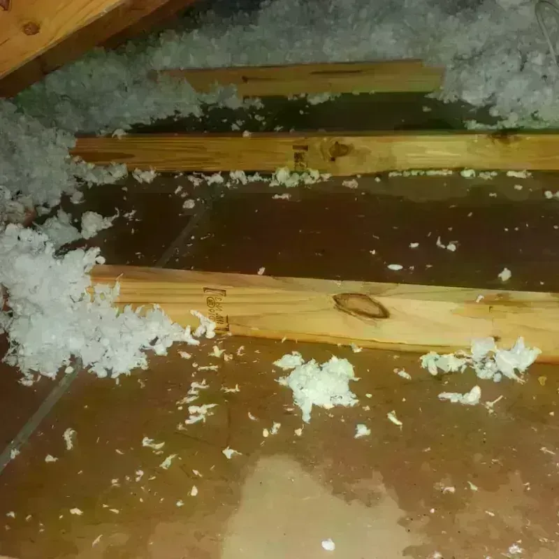 Attic Water Damage in Brunswick, GA