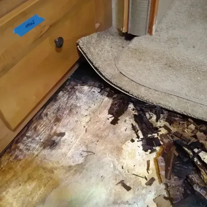 Wood Floor Water Damage in Brunswick, GA